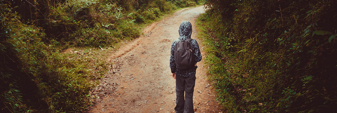 A boy with a backpack walks down a path in a wooded area. 
